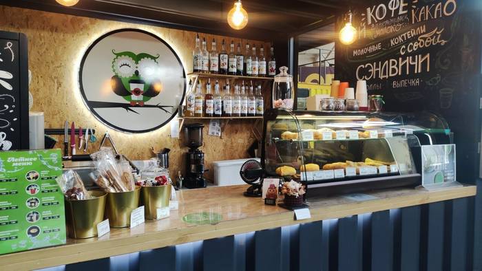 Бодрая сова 